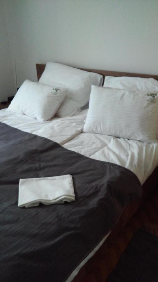 בפורטורוז Apartma Med Oljkami Spodnji מראה חיצוני תמונה